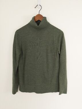 GAP Extrafine Merino Wool Turtleneck Sweater Green Small